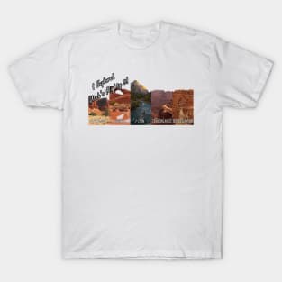 Utah National Parks: Bryce, Zion, Canyonlands, Arches, Capitol Reef T-Shirt